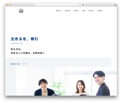 Animate on scroll WordPress plugin - corp-rise.com