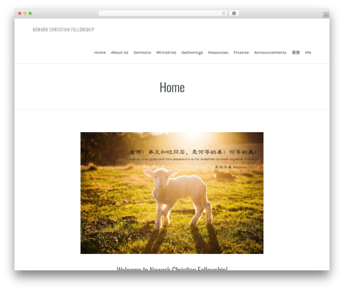 Restful theme WordPress - ncfnj.org