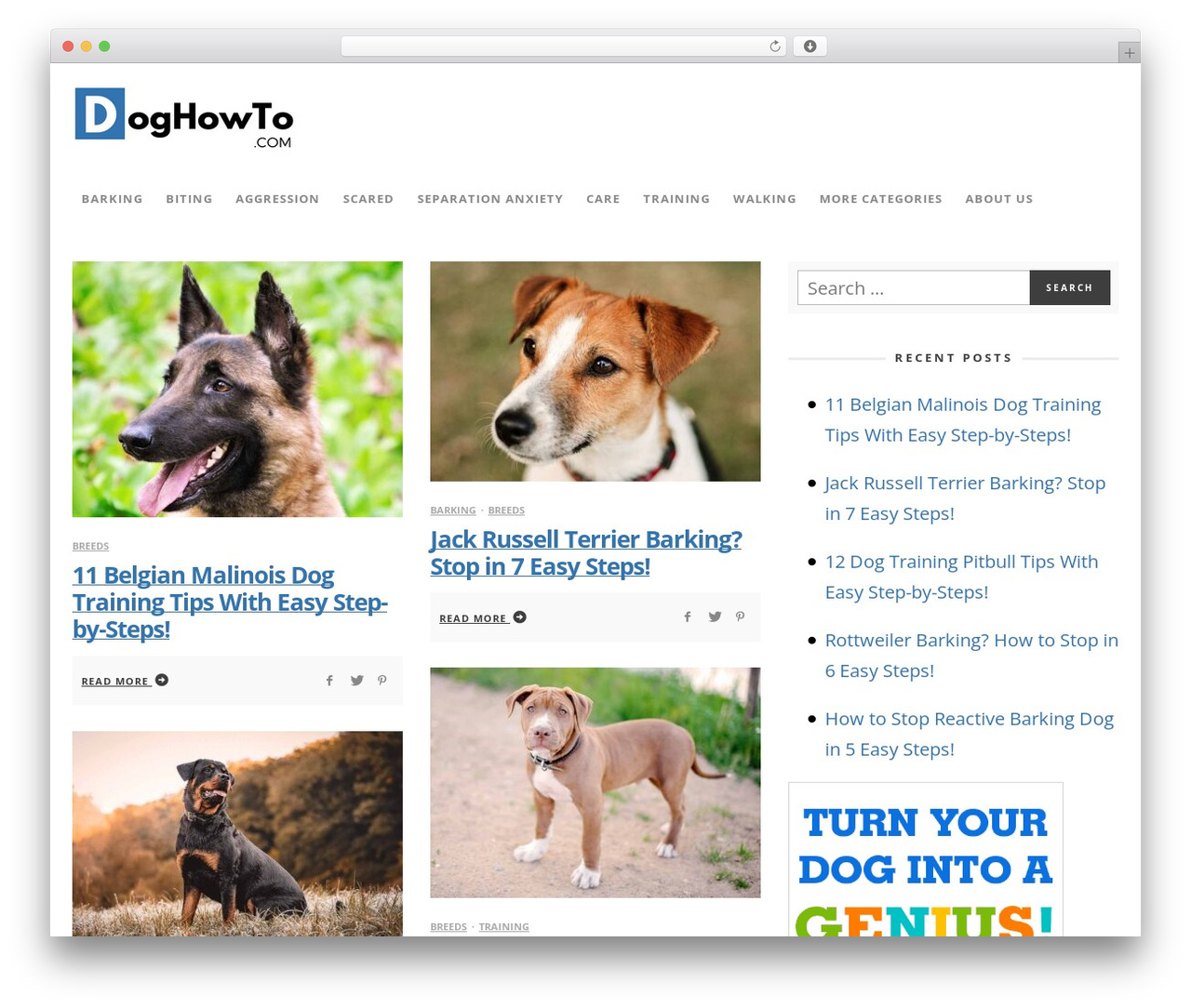 Sprout theme WordPress - doghowto.com