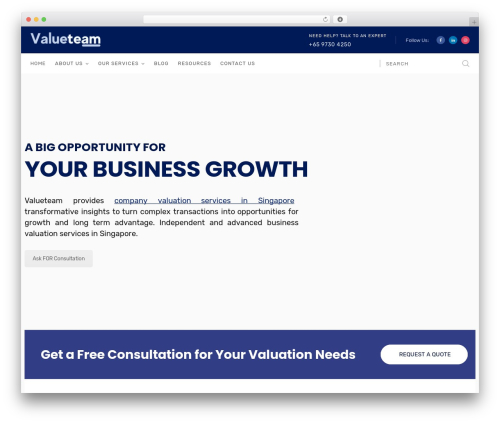 Radiantthemes mega menu WordPress plugin - valueteam.com.sg