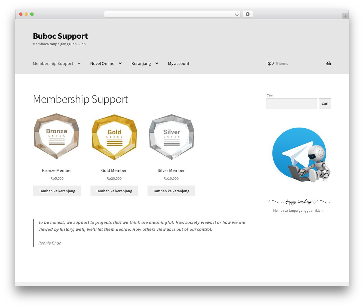 WordPress theme Storefront - buboc.com WordPress theme Storefront - buboc.com