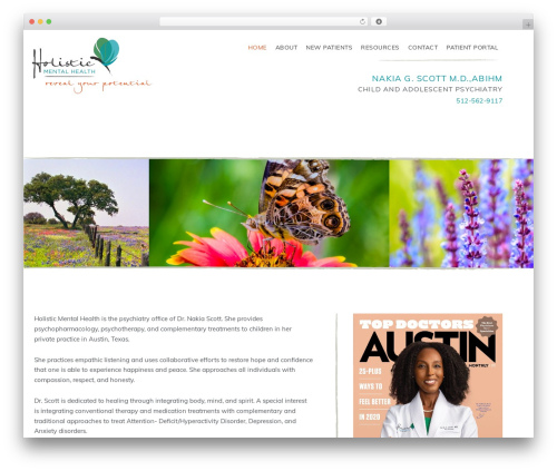 Custom iframe WordPress plugin - holisticmh.com