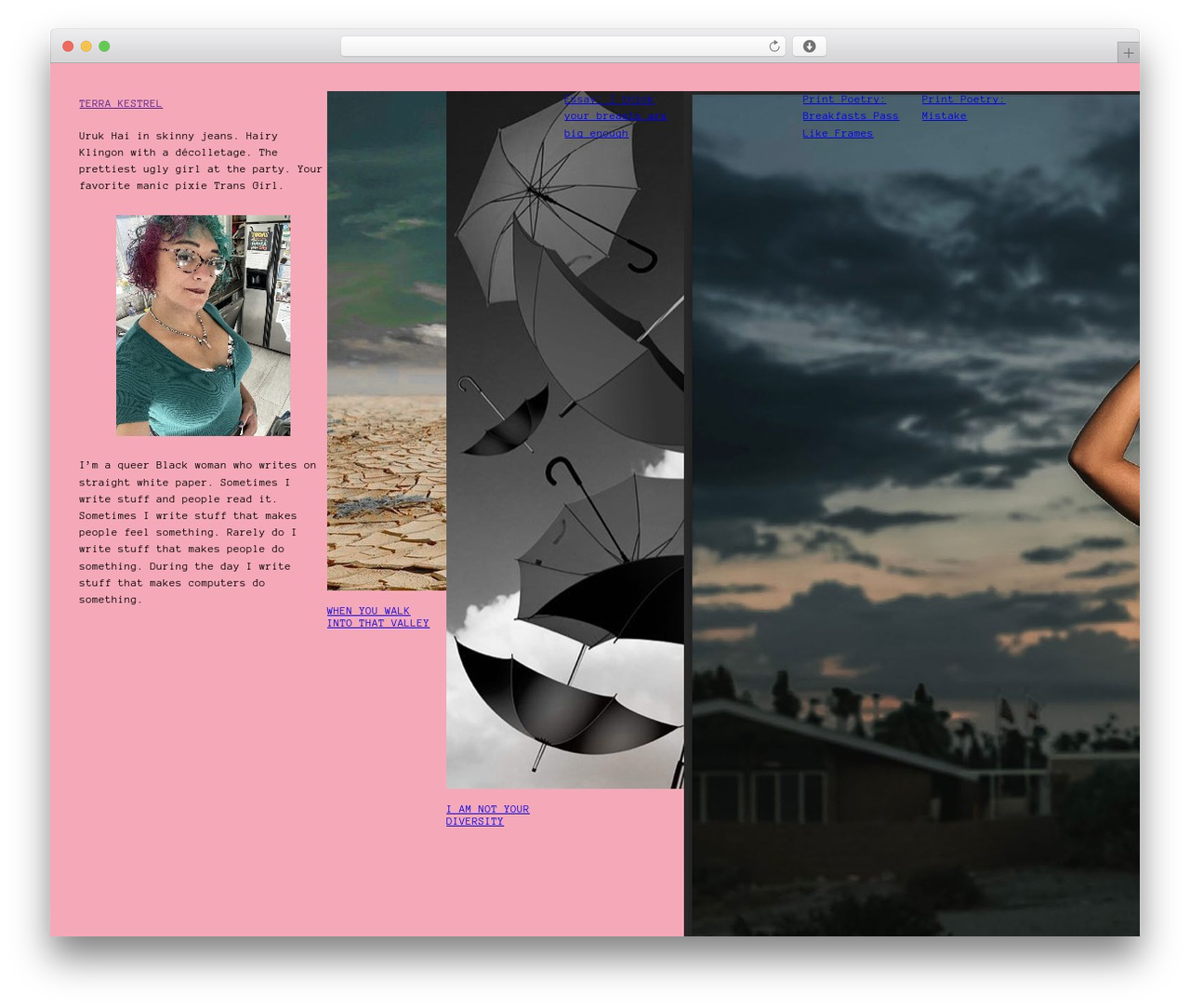 Theme WordPress Common - terrakestrel.com Theme WordPress Common - terrakestrel.com