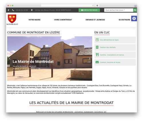 Bms securite WordPress plugin - montrodat.fr