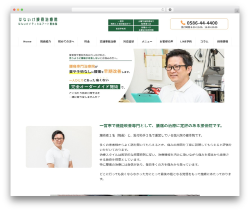 Lightning g3 evergreen WordPress plugin - hanaike.jp