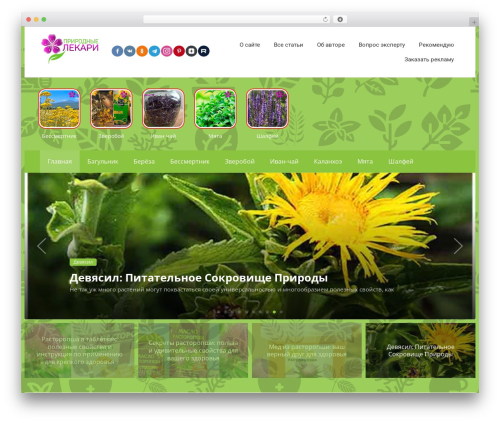 Quizle WordPress plugin - biolekaru.ru