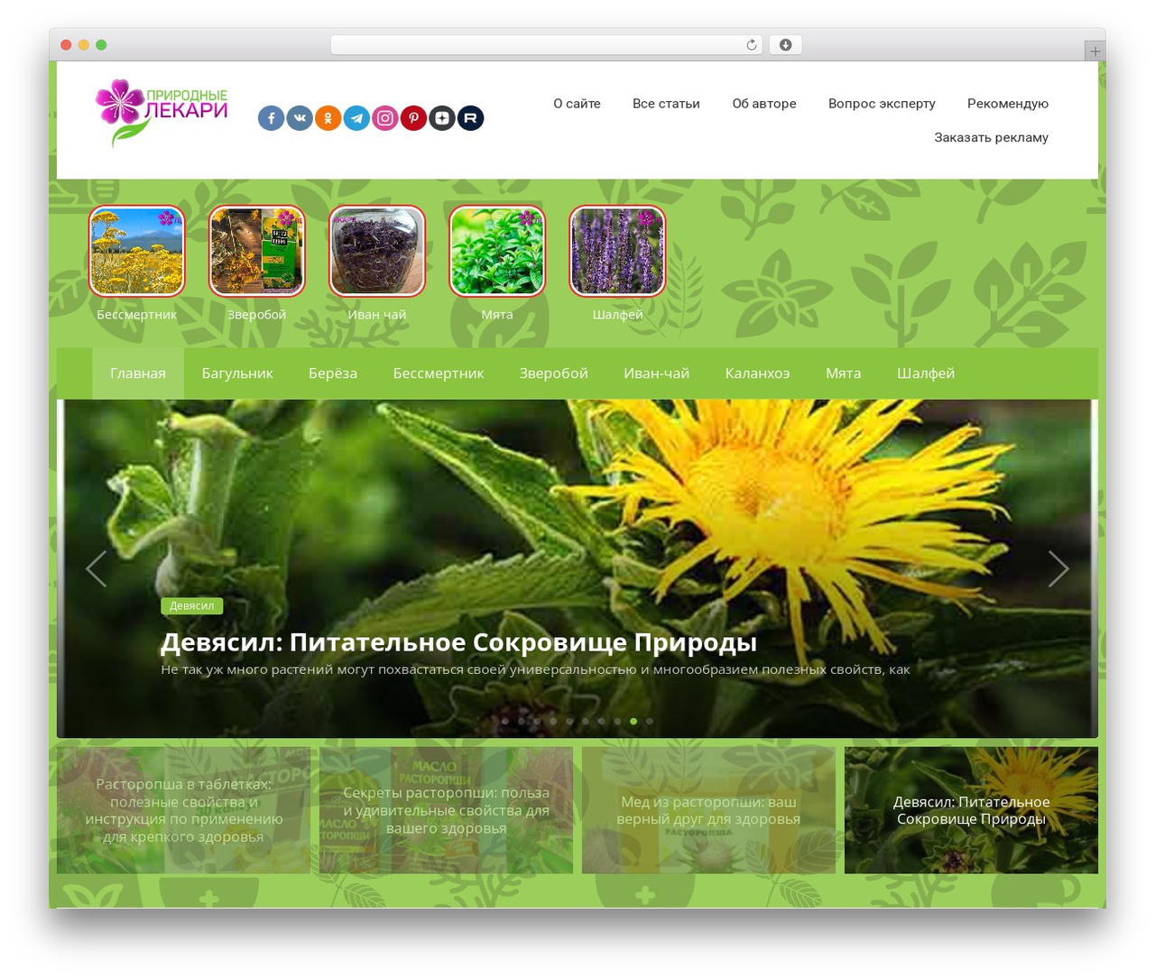 WordPress theme Reboot - biolekaru.ru
