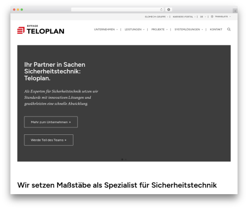 Wp timeline designer pro WordPress plugin - teloplan.com