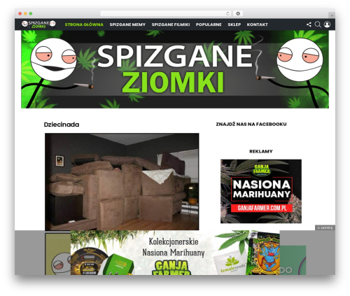 Comment ace WordPress plugin - spizganeziomki.net