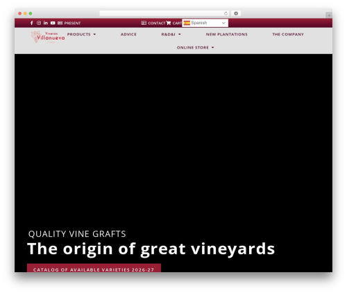 Video thumbnailer for elementor WordPress plugin - viverosvillanueva.es