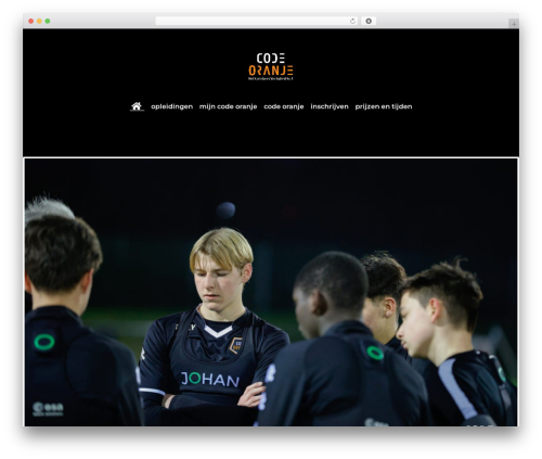 Overton WordPress theme - codeoranje-instituut.nl
