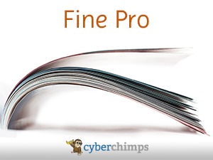 Fine Pro 2 WordPress theme
