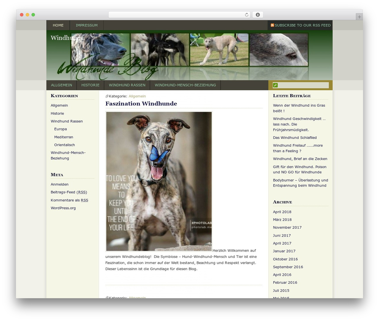 GoodLuck theme WordPress - windhunde-blog.de GoodLuck theme WordPress - windhunde-blog.de