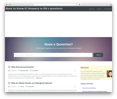 Knowledge Base Theme WordPress website theme - wanttoknowit.com