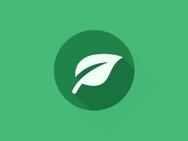Leef WordPress blog theme by massivePixelCreation
