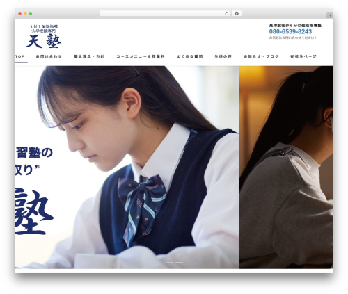 Lightning free WP theme - ten-juku.com