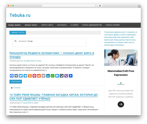 Video Player for YouTube (yt-player) free WordPress plugin - tebuka.ru