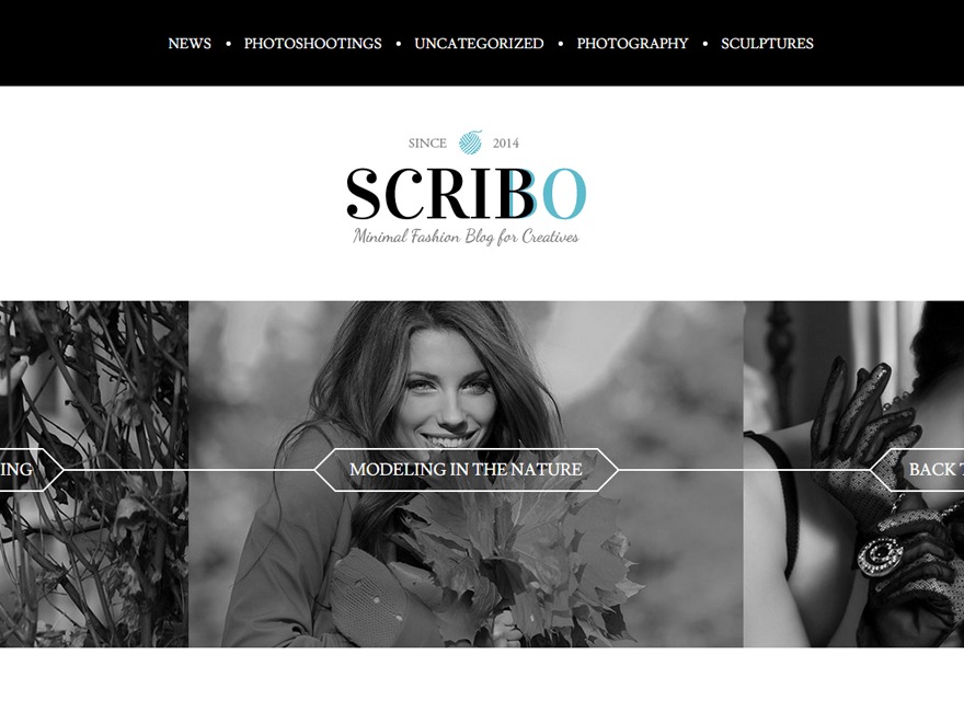Scribo - Wordpress Theme WordPress blog theme by gljivec