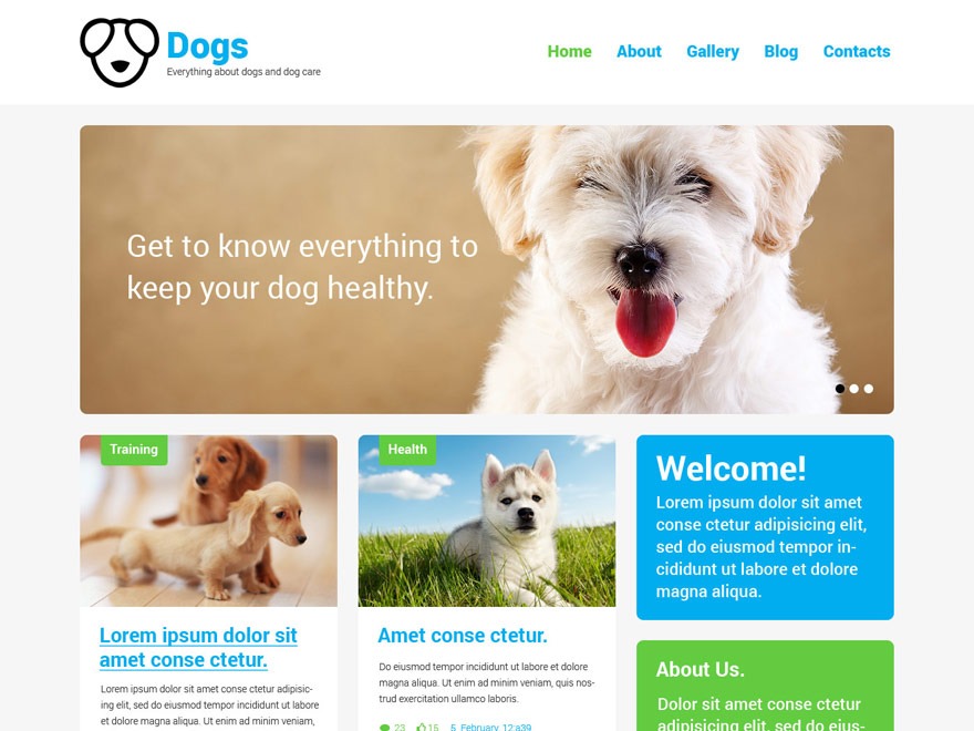 theme52170 WordPress theme design