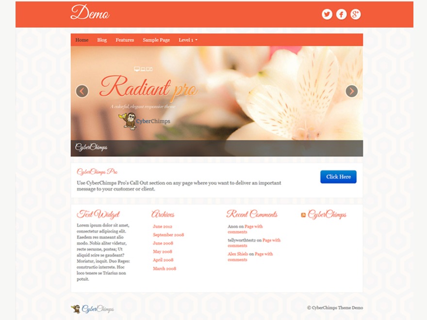 WordPress theme Radiant Pro WordPress theme Radiant Pro