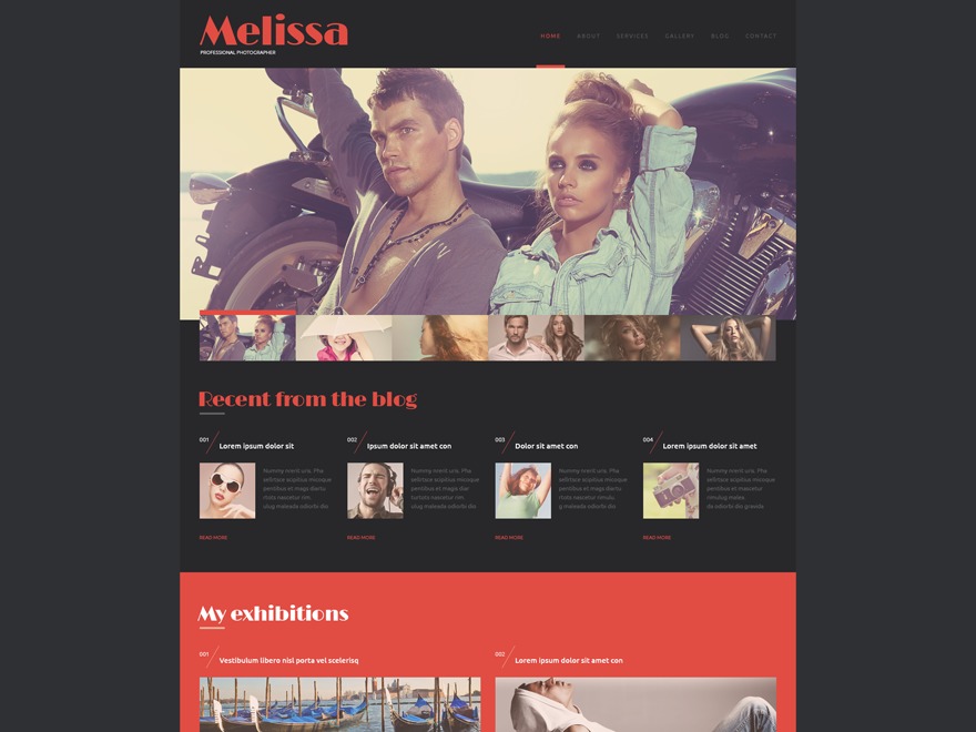 WordPress theme theme52153