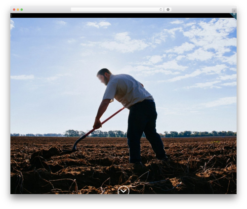 WordPress theme X - waltherfarms.com