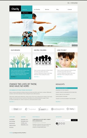 WordPress website theme theme1438