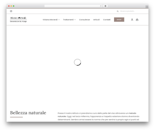 Woocommerce Sidebar Category Accordion (woo-sidebar-category-accordion) free WordPress plugin - laboratoireduvisage.com