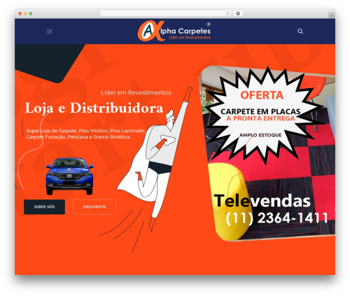 Zikzag core WordPress plugin - carpetes.com.br
