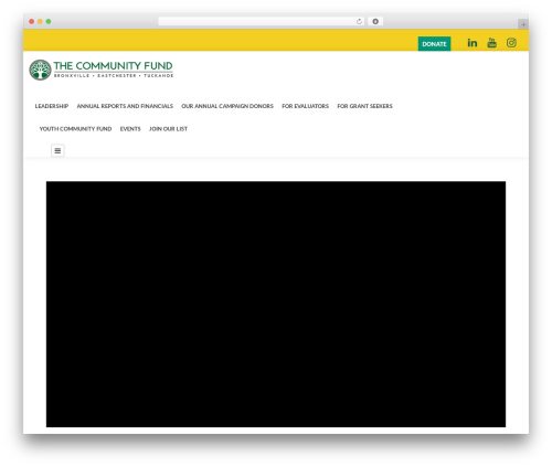 WordPress theme Infinite - thecommunityfund.org