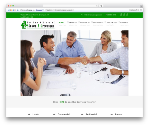 Bigwig WordPress theme - stevengreenspan.com