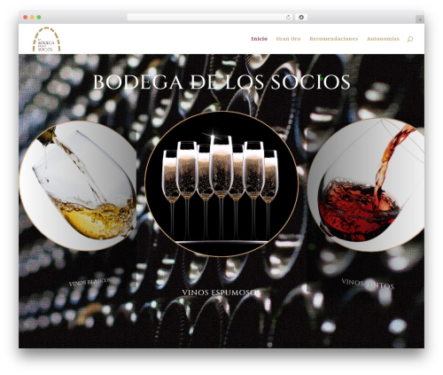 4divi masonry custom post WordPress plugin - bodegasocios.org