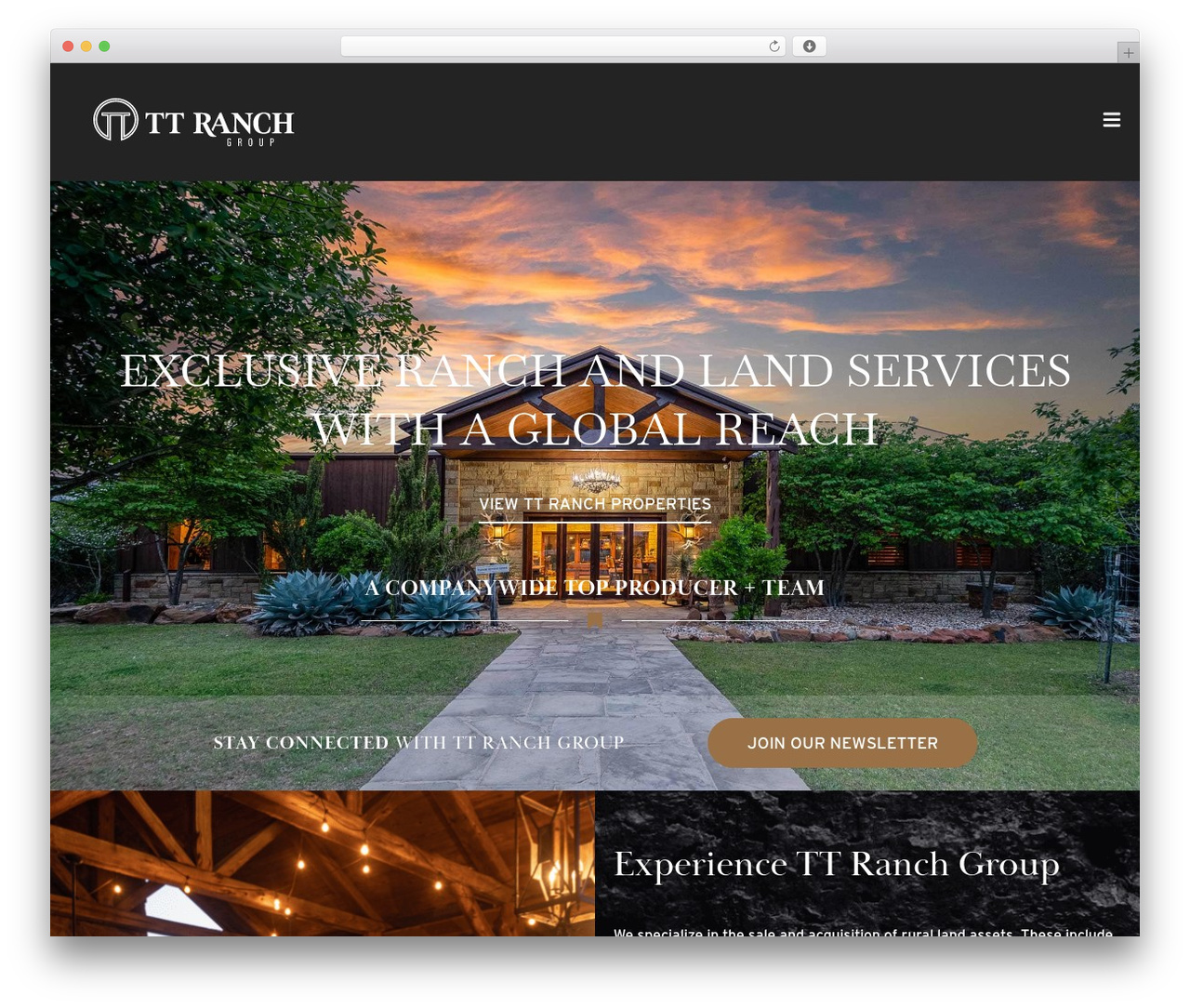 Hello Elementor WordPress theme design - ttranchgroup.com Hello Elementor WordPress theme design - ttranchgroup.com