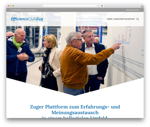 Everest timeline WordPress plugin - efficiency-club-zug.ch