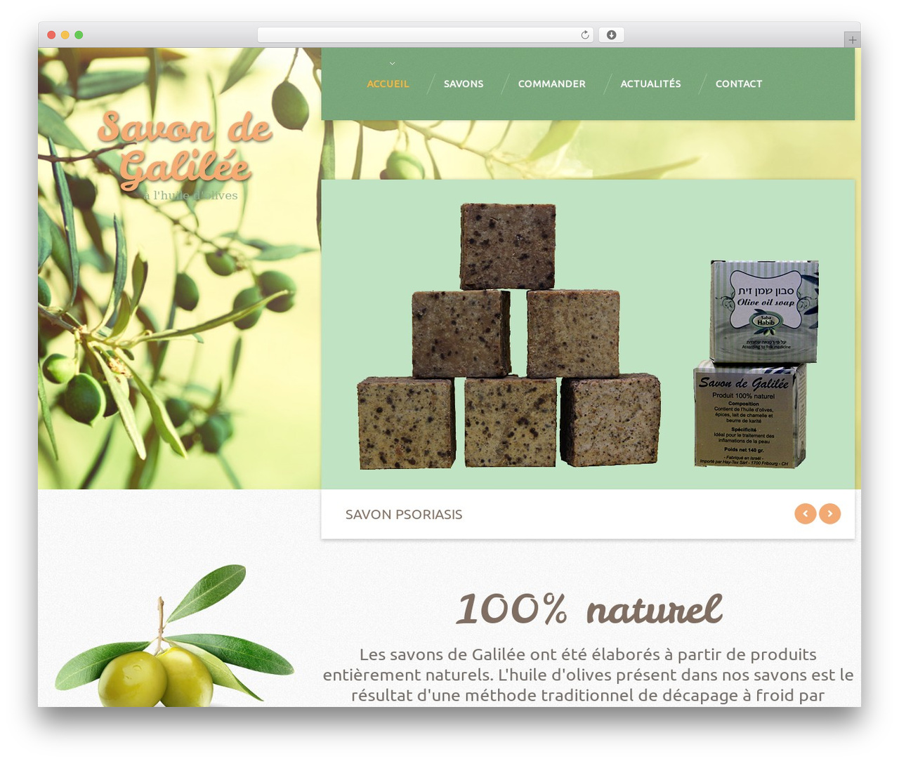 Theme WordPress theme47994 - savondegalilee.ch