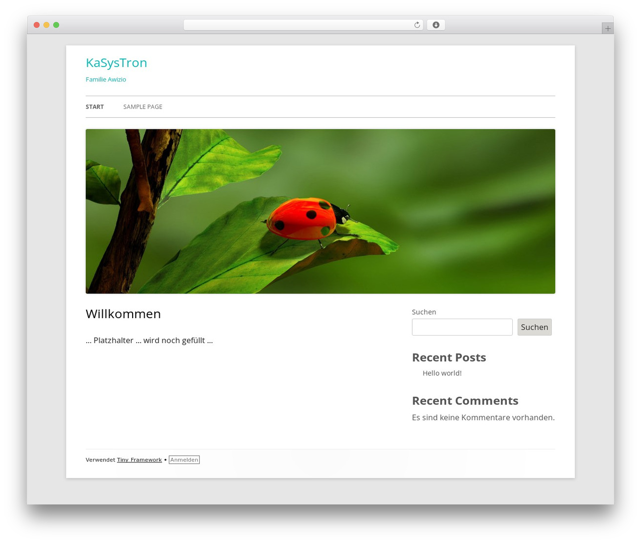 Theme WordPress Tiny Framework - kasystron.de