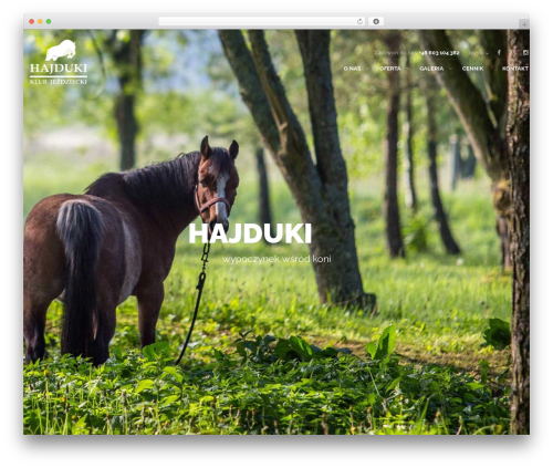 Thim framework WordPress plugin - hajduki.info