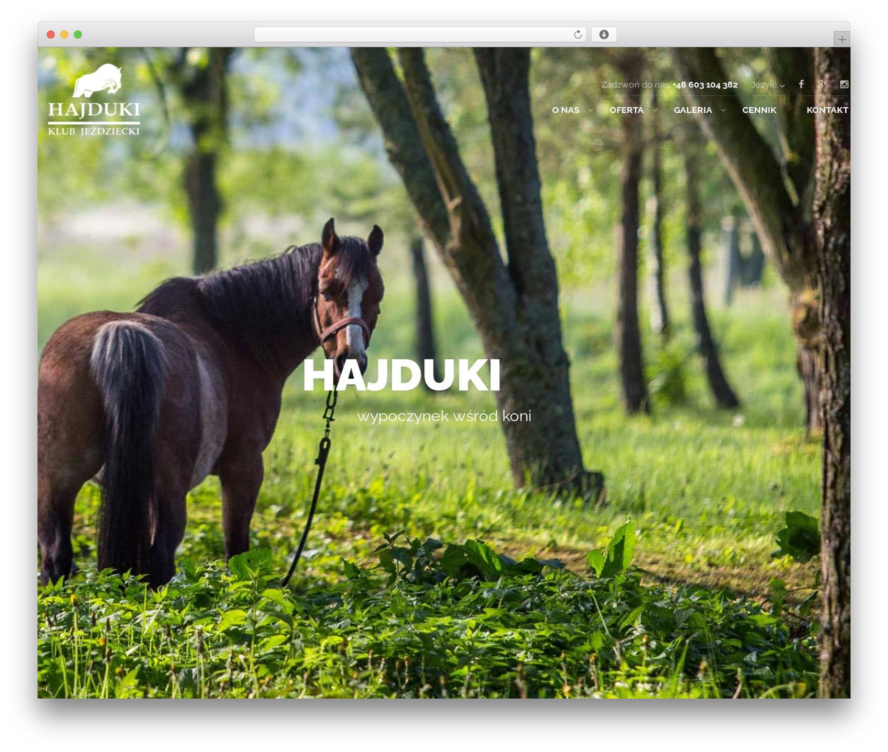 WordPress theme Sailing - hajduki.info