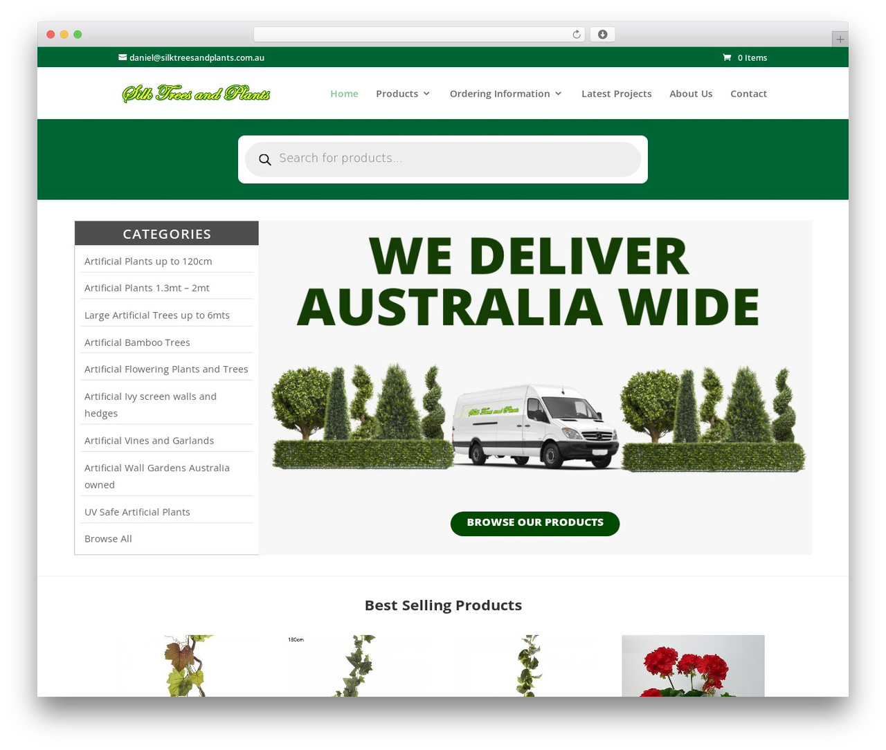 Divi WordPress theme - silktreesandplants.com.au