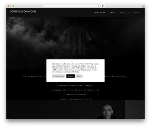 Hazel theme WordPress - borromeopavoni.it