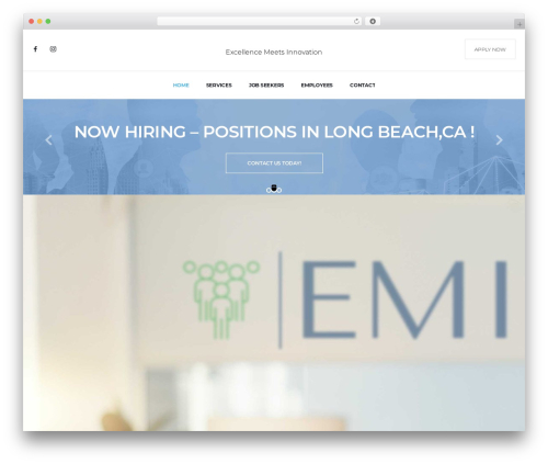 Human Consult WordPress theme - emistaff.com