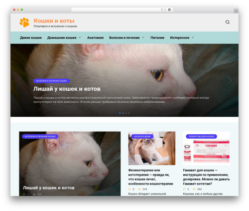 Expert review WordPress plugin - koshkinsait.ru