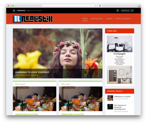Theme WordPress Extra - realistik.biz