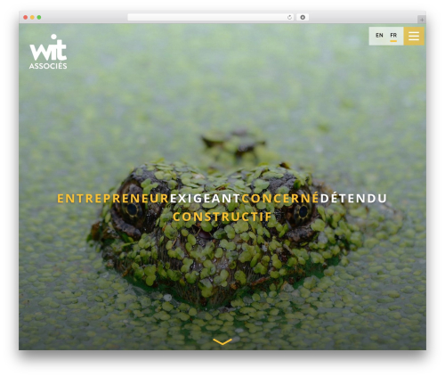 starter WordPress theme - wit-associes.com