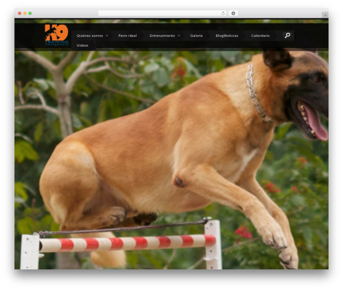 CalPress Calendar (calpress-event-calendar) free WordPress plugin - k9venezuela.com CalPress Calendar (calpress-event-calendar) free WordPress plugin - k9venezuela.com