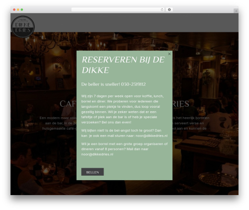 Stuurlui Low-code WordPress theme - dikkedries.nl