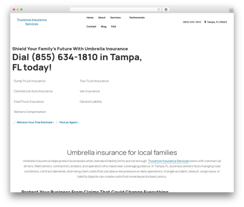 Testimonials hub WordPress plugin - insuranceagencytampa-fl.com