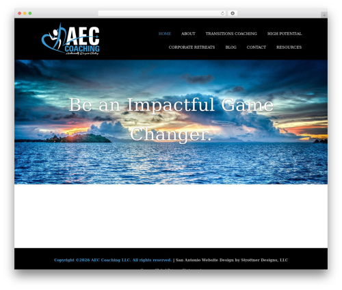 Optimizer PRO best WordPress theme - aeccoachingllc.com Optimizer PRO best WordPress theme - aeccoachingllc.com