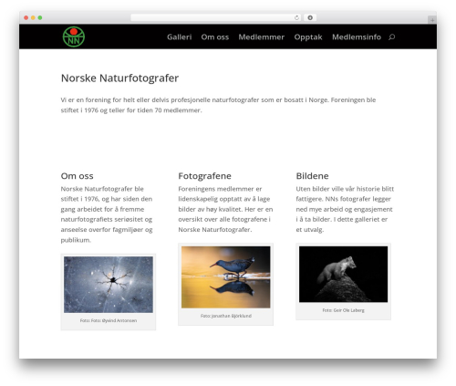 Wonderplugin gridgallery WordPress plugin - norskenaturfotografer.no