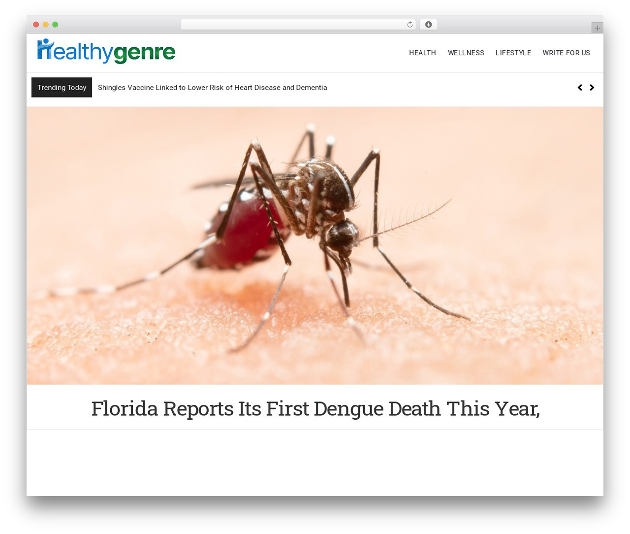 WordPress theme Newsource - healthygenre.com